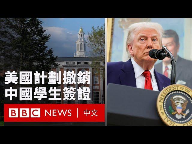 美國計劃撤銷中國學生簽證  亞洲學校吸引受影響學生 － BBC News 中文