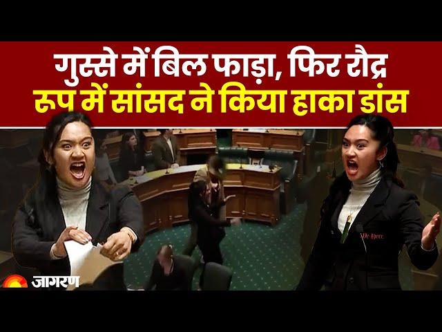 Viral Video: New Zealand की सांसद ने किया 'हाका डांस' फाड़ी विधेयक की कॉपी, वीडियो वायरल