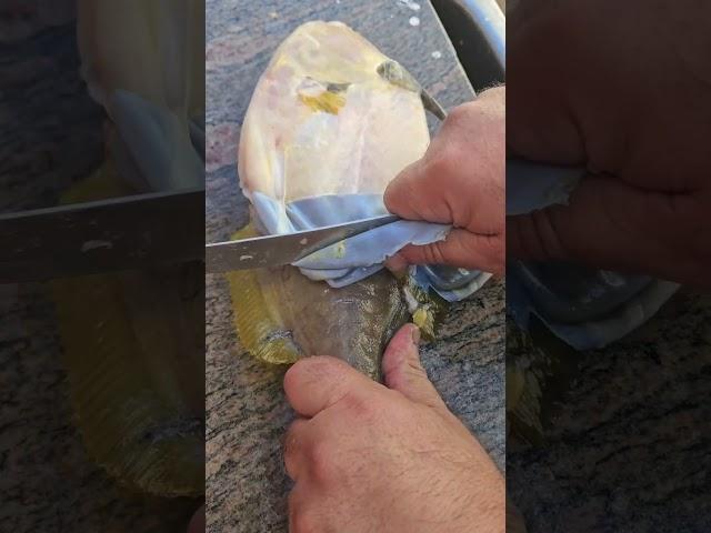 Skinning a Trigger Fish, Leather Jacket Fish #fishing#catchncook #seafood