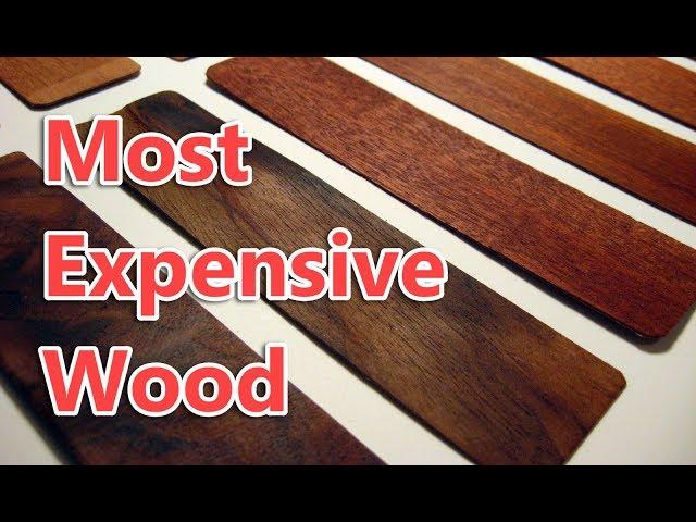 Top 10 Most Expensive Wood in the World