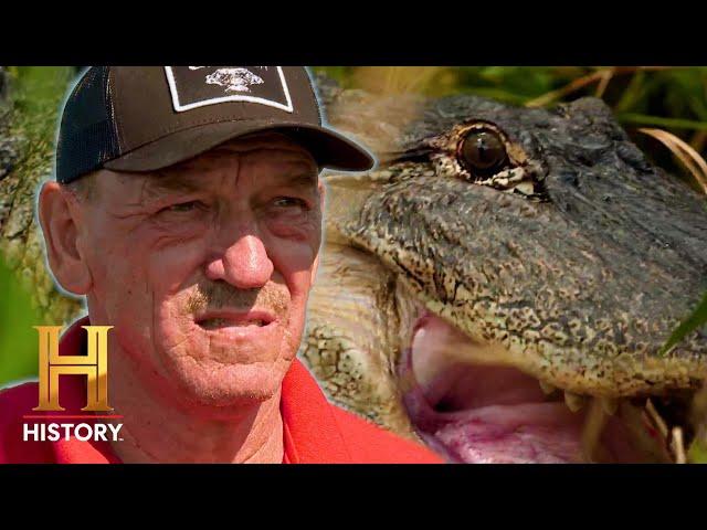 Swamp People: 11-Foot Monster Gator is a Big Win (Season 15)