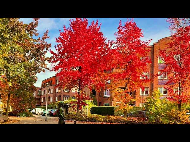 Ein Herbsttag in Hamburg Bramfeld