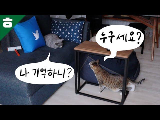 6년 만에 친구를 다시 만난 구름이?  3일간의 짜릿한 동거!