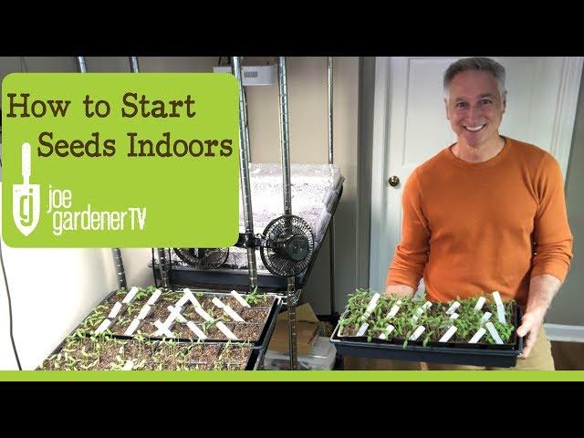 How I Start Seeds Indoors  Tips & Techniques