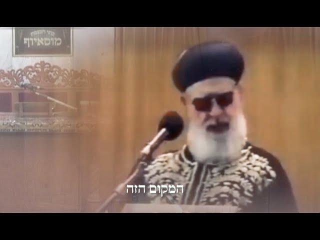 בתי הכנסת מוסאיוף - זיכוי הרבים הגדול בעולם