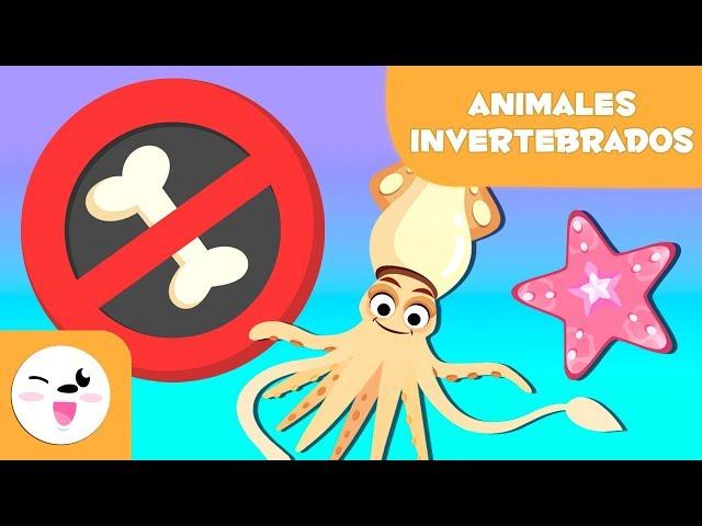 ANIMALES INVERTEBRADOS  - Artrópodos, moluscos, gusanos, celentéreos, equinodermos y esponjas