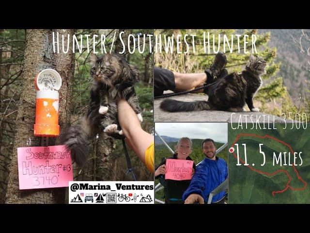 Catskill Cat: Hunter & Southwest Hunter