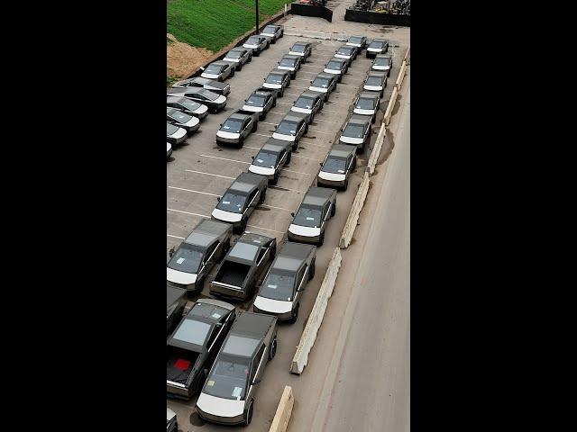 A Whole Bunch Of Cybertrucks QuickTake #Shorts
