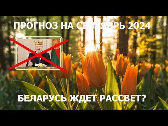 Прогноз для Беларуси на сентябрь 2024 на Таро