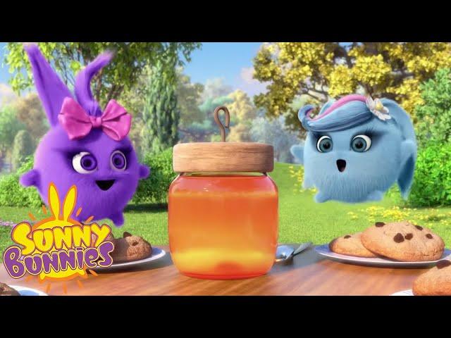 Cartoons for Children | SUNNY BUNNIES - Big 'Bee' Boo | Season 4 | Cartoon