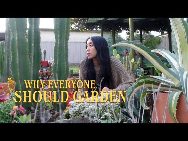 How Creating A Garden Changed My Life