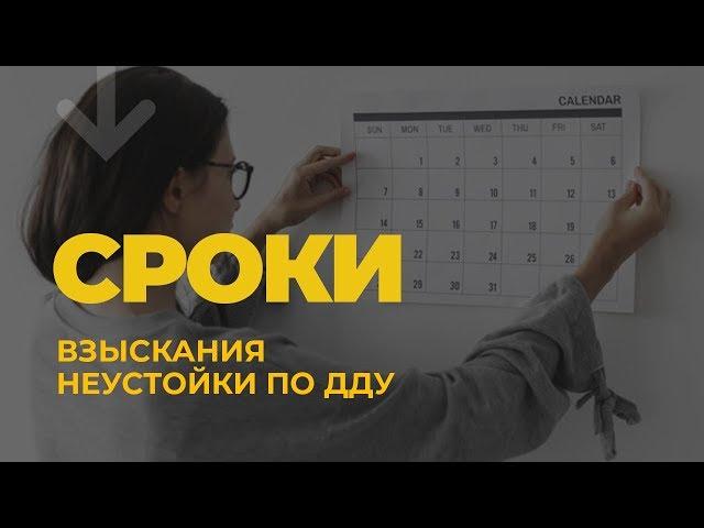 Какие сроки взыскания неустойки по ДДУ? Как быстрее получить деньги от застройщика? | ЮК Хелп ДДУ