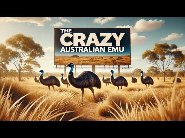 The Crazy Australian Emu 