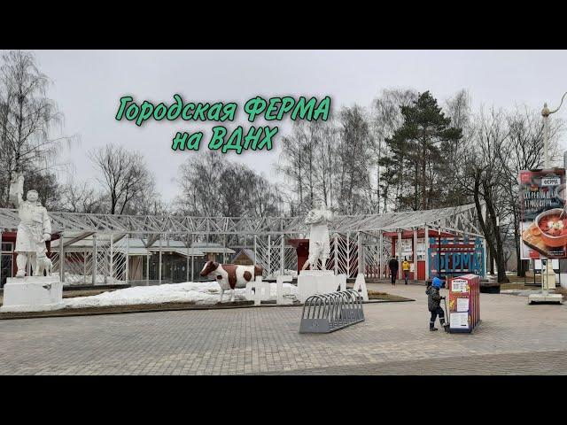 Городская Ферма на ВДНХ.