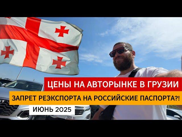 Обзор рынка авто июнь. Вывозим авто из Грузии как и прежде! #грузияавто #авторынок