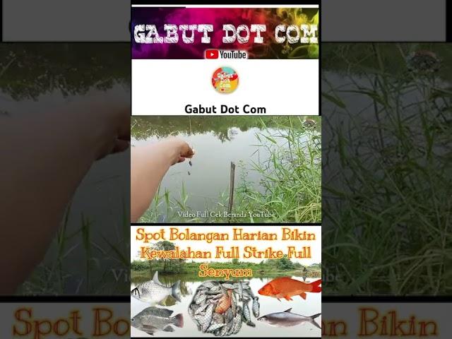 Mancing Bandeng & Tombro