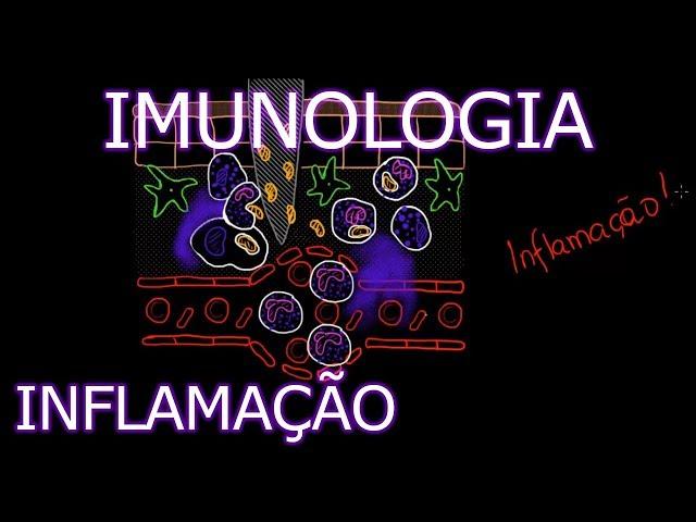 Aula: Imunologia - Inflamação | Imunologia #2