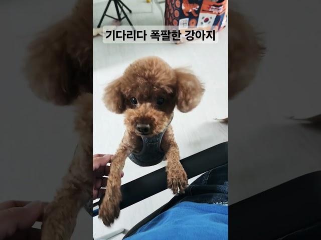 개인 소장용 쇼츠