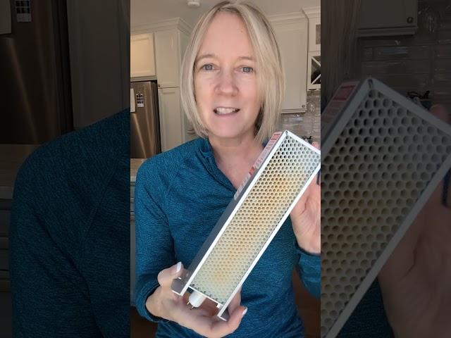 Does it work? REVIEW of the Aerus Air Scrubber Ozone Free