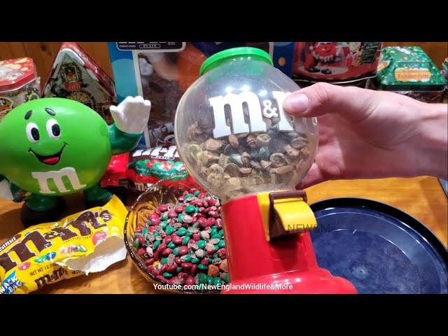 Opening And Eating Decades Old M&M's, Very Gross