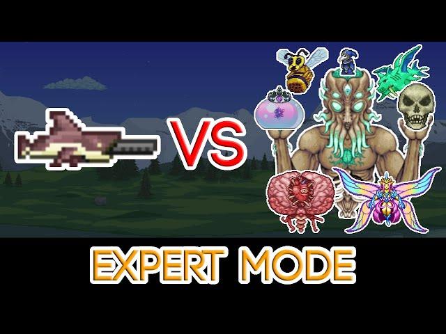 Terraria 1.4.1 - Megashark vs ALL Bosses (Expert Mode)