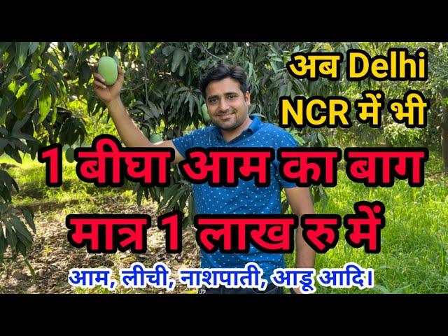 मात्र 1 लाख में आम का बाग एक बीघा का @M HProperty Vlogs #viralproperty #Baag #garden #delhiproperty