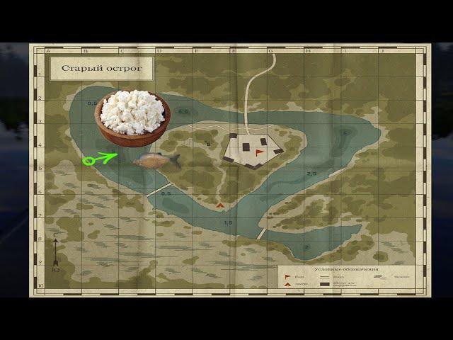 Лещ Старый Острог рр4 #Shorts