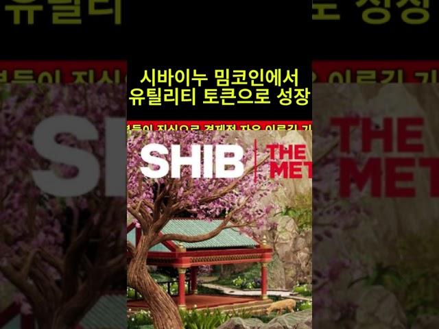 #시바이누 #시바이누코인전망 #shib