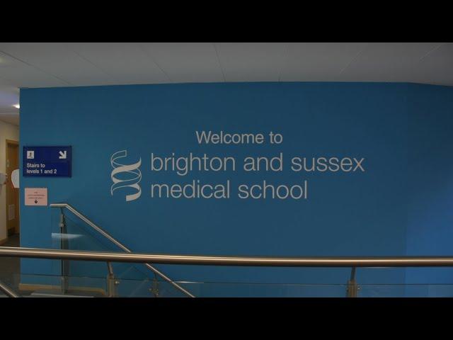 Brighton and Sussex Medical School (BSMS) - Campus Tour