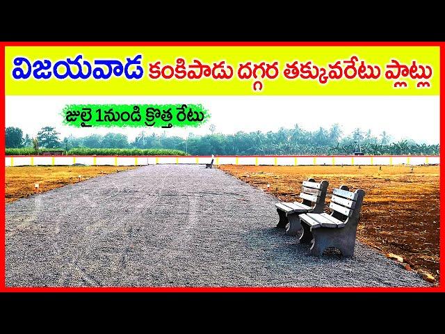 Sq Yard Only 8500 Vijayawada Bandar Highway 7993488956 / 9247926348 Plots Near Kankipadu @Prodduturu