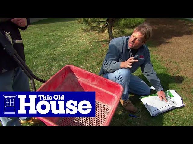 How to Revive a Brown Lawn | This Old House