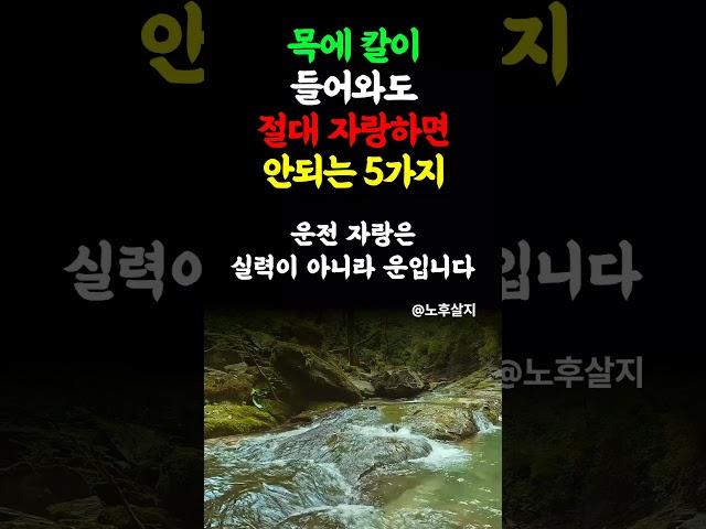 아무리 친해도 자랑하지 말아야 하는 5가지  #노후 #노후행복 #노후건강 #인생조언 #인생명언