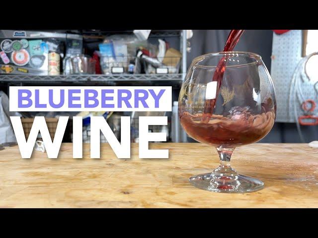 Making Blueberry Wine | One gallon simple recipe start to finish - with a tasting!