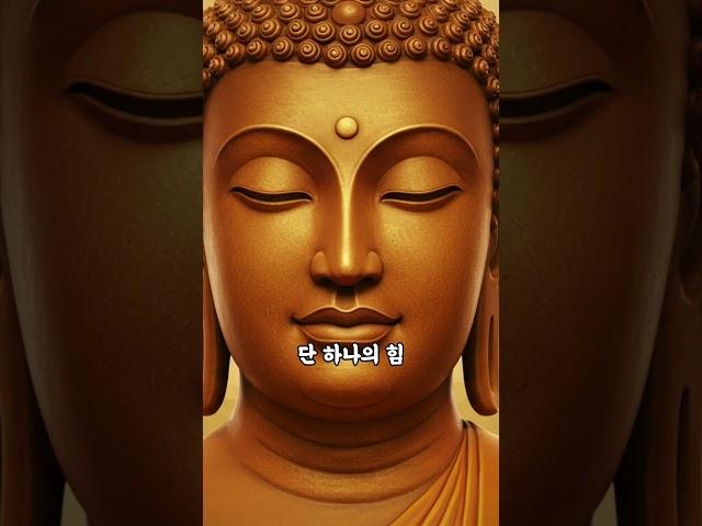 부처님 말씀 :: 자비의 힘 #자비 #마음수행 #부처님가르침 #연민 #부처님말씀