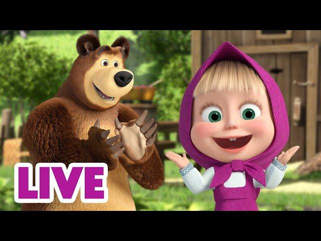  LIVE  Masha y el Oso ️‍ Colección de Oro  Masha and the Bear