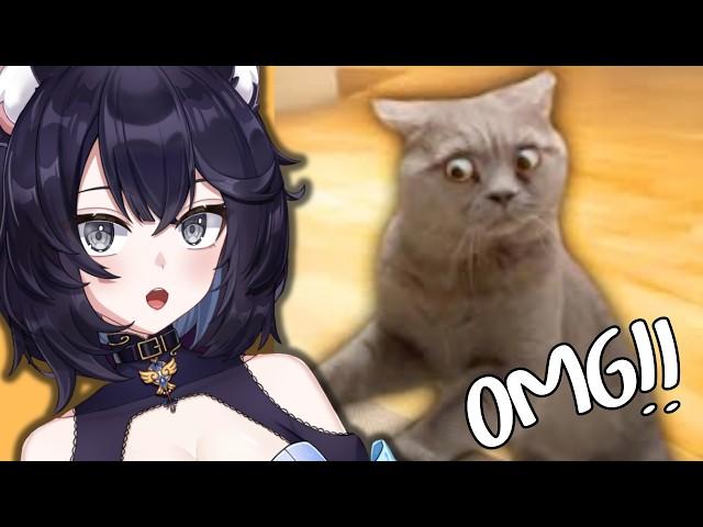 Vtuber REACTS to Best Cat Videos of the Decade