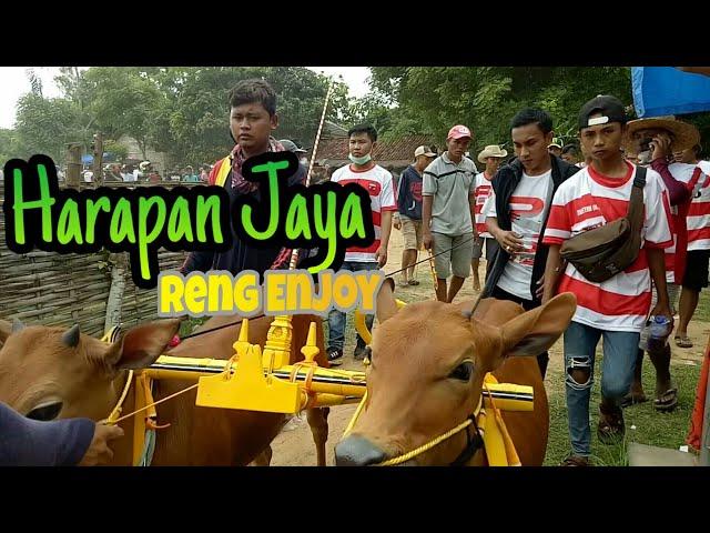 Harapan Jaya Reng Enjoy (KARAPAN SAPI MADURA)