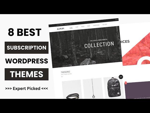 8 Best WordPress Themes for Subscription Service 2024 | Business WordPress Themes