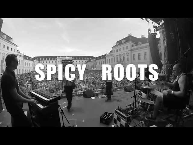 Spicy Roots Live - KSK music open `15