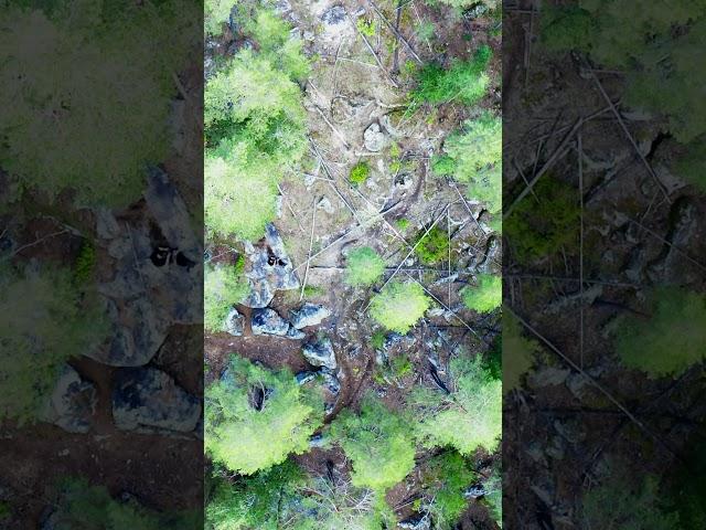 Скрипинские Кучуры #сызрань #drone #travel #ульяновск #dji #avata2 #fpv #дрон #short #заповедник