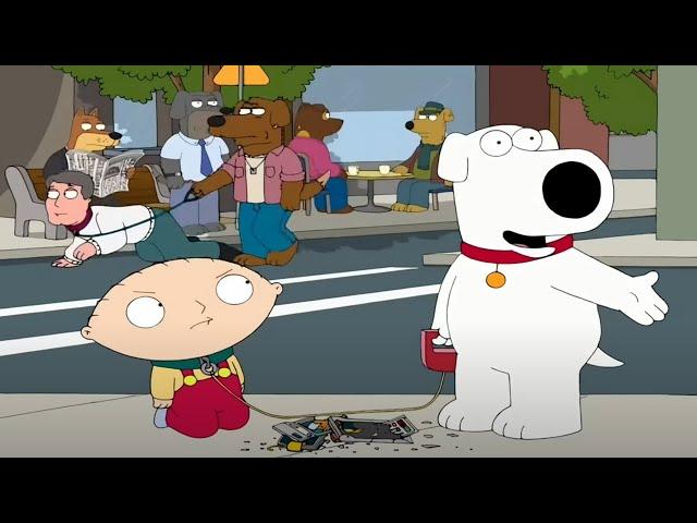 Family Guy Season 8 EP 1-7 | New Family Guy 2024 Full Episode NoZoom NoCuts#1080p