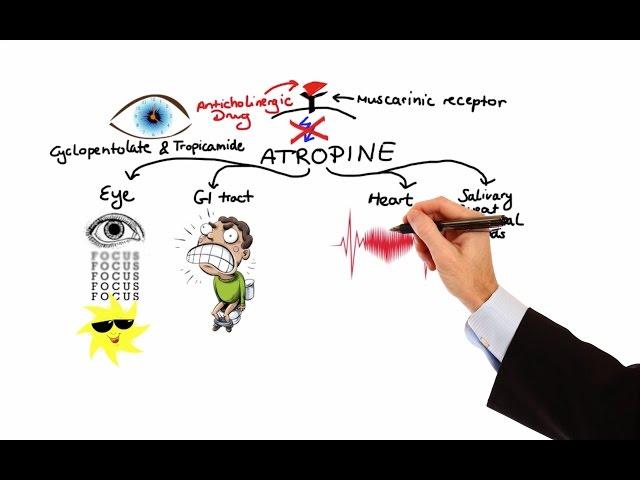 Pharmacology - ANTICHOLINERGIC & NEUROMUSCULAR BLOCKING AGENTS (MADE EASY)