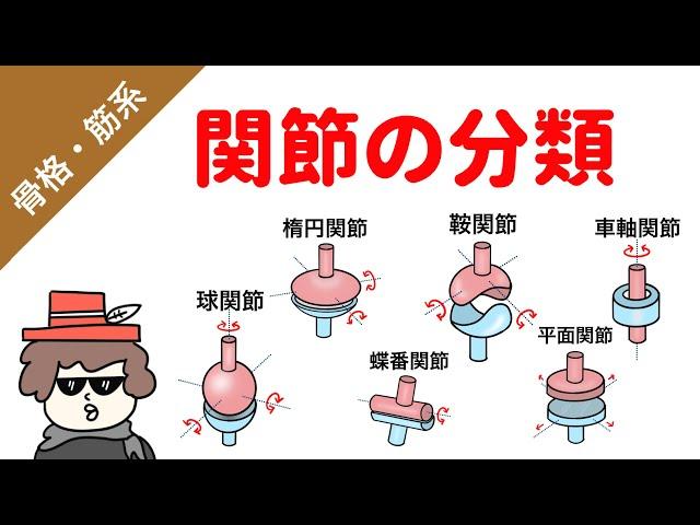 関節の種類の覚え方