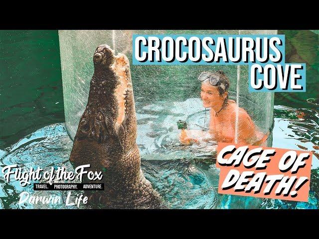 Crocosaurus Cove | CAGE OF DEATH  Best things to do in Darwin! | Episode 38 - Darwin Life