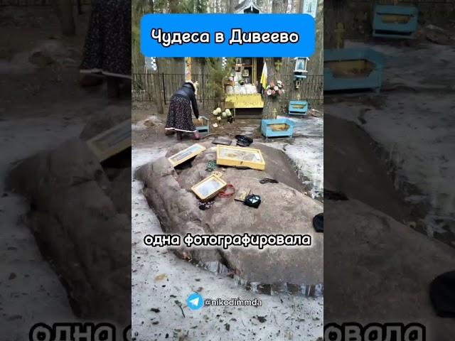 ЧУДЕСА в Дивеево! #правжизнь #чудеса #правжизнь #рекомендации #вера
