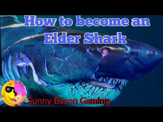 How to become an Elder Shark.  Fighting Scaly Pete. On Maneater