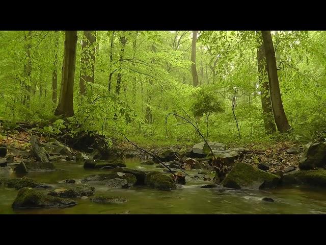 저주파ASMR - 언제든지 듣기 좋은 자연을 담은 영상과 피아노 선율