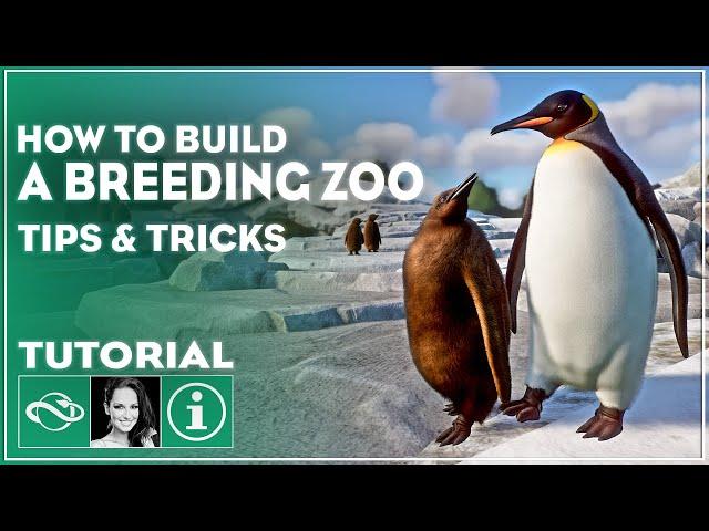 ▶ The Ultimate Guide to Starting a Breeding Zoo in Planet Zoo | Tutorial | Tips & Tricks