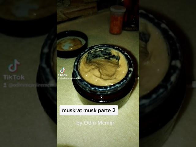 Muskrat musk parte 2