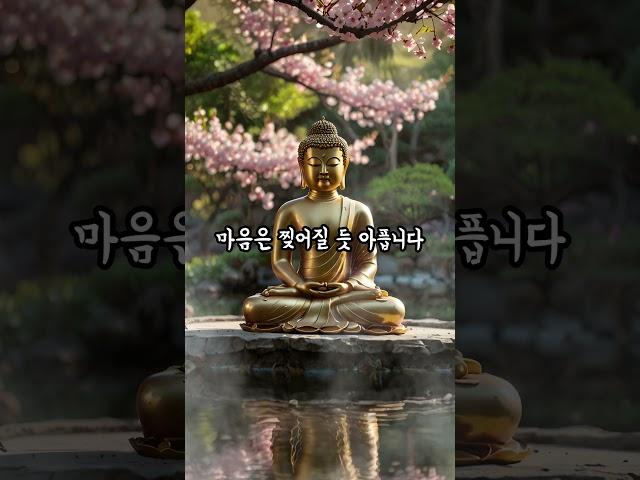 자비의 숨결 부처님의 말씀 #인생명언 #책읽기  #책읽어주는여자 #명언 #오디오북 #책읽어주는 #불교 #불교가르침 #좋은글 #마음의소리로쓰는글 #인생조언 #자기수행